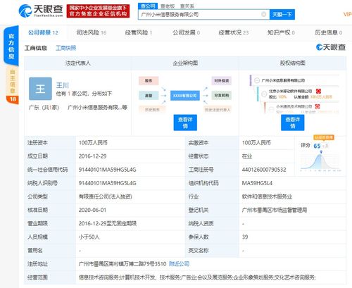 洪鋒卸任廣州小米信息服務法人及經理，計算機信息技術咨詢服務領域引關注
