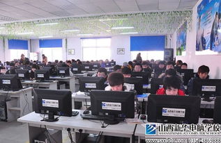 行業前景成擇業關鍵 大學生為何青睞計算機信息技術咨詢服務